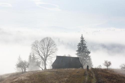 Ivan Kmit